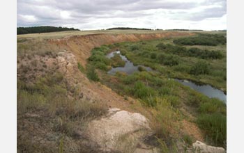 Photo of the grassy plains of Northern Kazakhstan where first horses may have been domesticated.