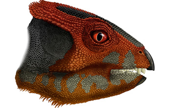 artist depiction of a dinosaur head