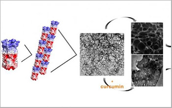 illustration of how an engineered Q protein self-assembles to form fiber-based hydrogels at low temperature