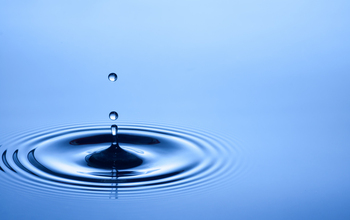 Ripples in water created by falling droplets.