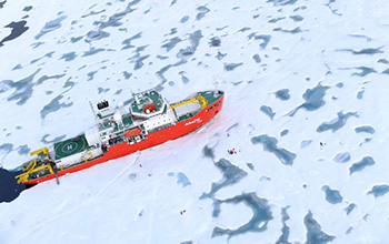 The Korean icebreaker Araon