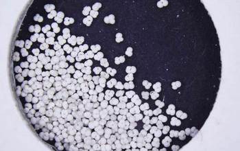 isolated neodymium isotopes from  fossils