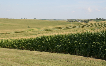 What's good for crops isn't always good for the environment, say NSF-funded scientists.