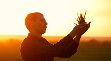 person silhouetted by sunset