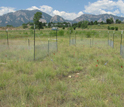 Photo of the Nutrient Network site in Boulder, Colorado.