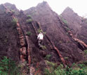 Photo of researcher Noah Planavsky on a black shale exposure in China.