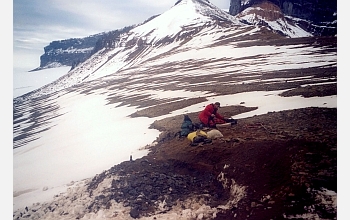 Scientists excavate a juvenile plesiosaur fossil on Vega Island, Antarctica.