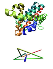 The three types of knots found in proteins