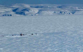 Photo of the project site near the center of Lake El'gygytgyn; the lake's eastern rim is visible.