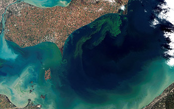 freshwater harmful algal bloom turned Lake Eric a bright blue-green