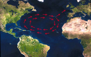 Map showing the migratory route of Florida loggerheads around the Sargasso Sea.