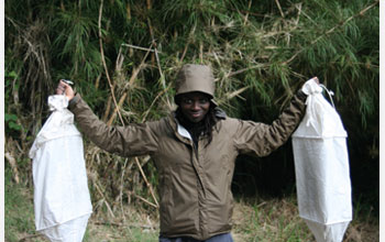 Photo of student researcher Crystal Vincent holding Winkler bags used to trap insects.