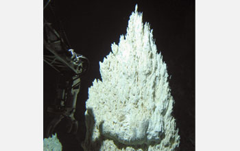 Photo of the top few feet of an actively venting carbonate chimney at Lost City.