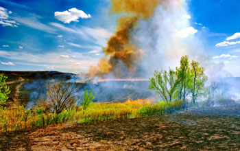 Fire moves through grasslands at NSF's Konza Prairie LTER Site in Kansas