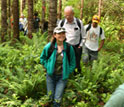 Photo of people walking through a forest.