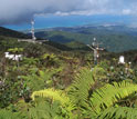 NSF's Luquillo LTER site.