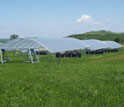 Photo of the Konza Prairie site where precipitation patterns are observed.