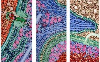 "Macrophage and Bacterium 2,000,000X"