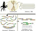 sequencing process