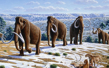 woolly mammoths