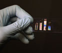 a hand holding a glass slide with virus-based materials revealing different textures.