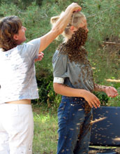 Marla Spivak on the left and Katie Klee on right trying on a bee beard.