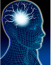 Illustration showing the memory storage area of the brain with a nerve network.