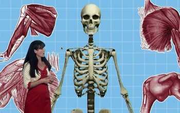 woman talking next to a 3-d image of skeleton and muscles