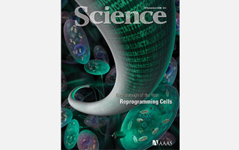 Images of the cover of the December 19, 2008 issue of <em>Science</em> magazine