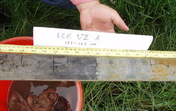 two hands holding a core showing dark gray wetland soil, left, and lighter soil, right.