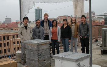 team of researchers with bee boxes on roof of texas building