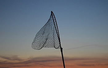 fishing net