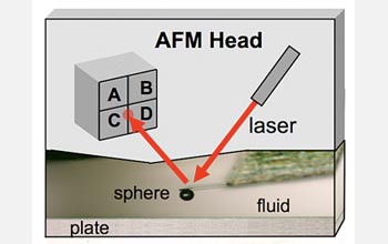 A schematic of the experimental setup.