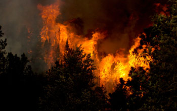 Wild fire in Colorado's huge High Park fire