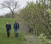 Two researchers walking through a field and looking up at nest box in the trees.