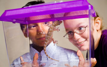 Photo of children studying the feet of a leopard gecko.