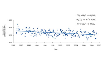 Graph showing seawater pH versus year for the Bermuda-Atlantic time-series study.