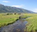 Photo of a stream flowing through a pasture at the foot of the Grand Teton Mountains in Wyoming.