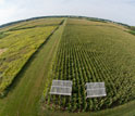 An aerial view of farmland.