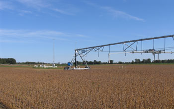 A soybean crop with farm equipment.