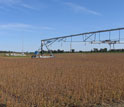 A soybean crop with farm equipment.