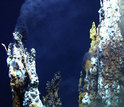 Near deep-sea hydrothermal vents
