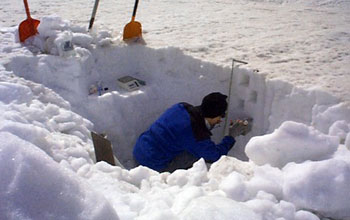 A researcher investigates the snowpack at the Niwot Ridge LTER.