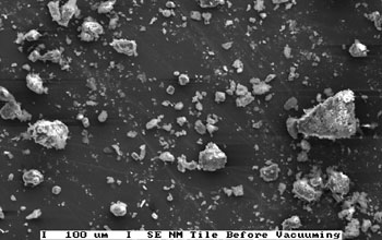 SEM of Soil Particles on Floor Tiles