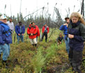 Photo of people exploring a forest burn site.