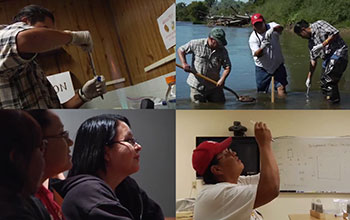 Collage of four photos of groups of people involved in science activities