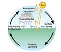 Illustration showing circulation between the oceans and atmosphere that drive climate.