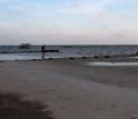 Oil along with flotsam and jetsam lining the beaches along the Gulf of Mexico.