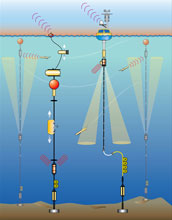 Illustration showing a global mooring array to collect continuous data that will be built.