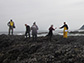 Scientists study the intertidal zone along Oregon shores.